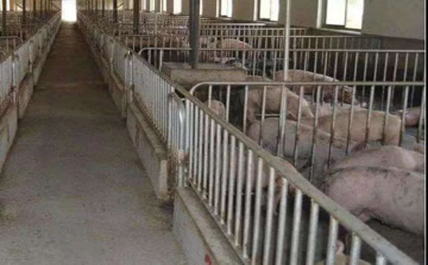 養殖（zhí）場廢水處理對人生活中哪些影響